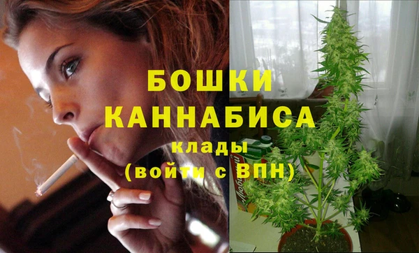 марки nbome Белокуриха